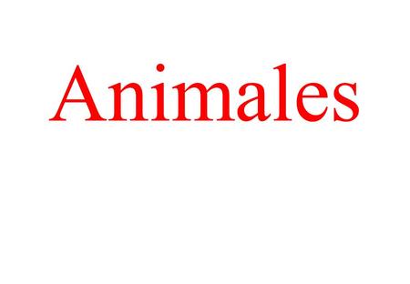 Animales.
