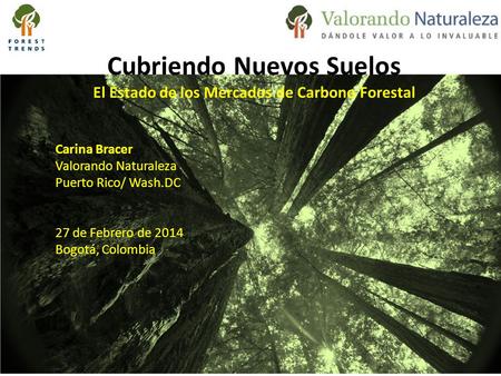 Cubriendo Nuevos Suelos El Estado de los Mercados de Carbono Forestal Carina Bracer Valorando Naturaleza Puerto Rico/ Wash.DC 27 de Febrero de 2014 Bogotá,