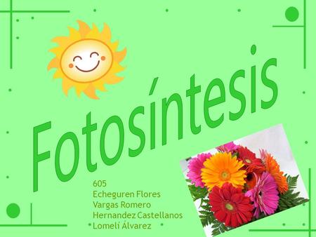 Fotosíntesis 605 Echeguren Flores Vargas Romero Hernandez Castellanos