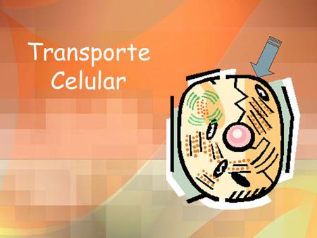 Transporte Celular.