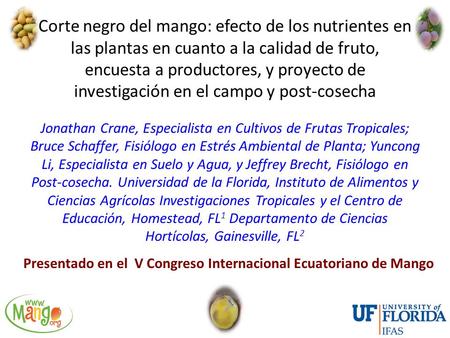 Corte negro del mango: efecto de los nutrientes en las plantas en cuanto a la calidad de fruto, encuesta a productores, y proyecto de investigación en.