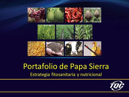 Portafolio de Papa Sierra Estrategia fitosanitaria y nutricional