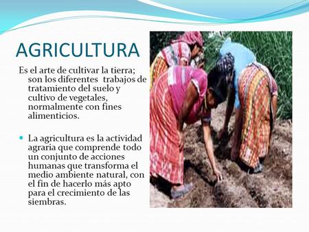 AGRICULTURA Es el arte de cultivar la tierra; son los diferentes trabajos de tratamiento del suelo y cultivo de vegetales, normalmente con fines alimenticios.