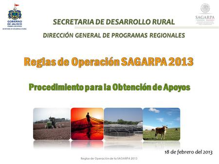 Reglas de Operación de la SAGARPA 2013 SECRETARIA DE DESARROLLO RURAL DIRECCIÓN GENERAL DE PROGRAMAS REGIONALES 18 de febrero del 2013.