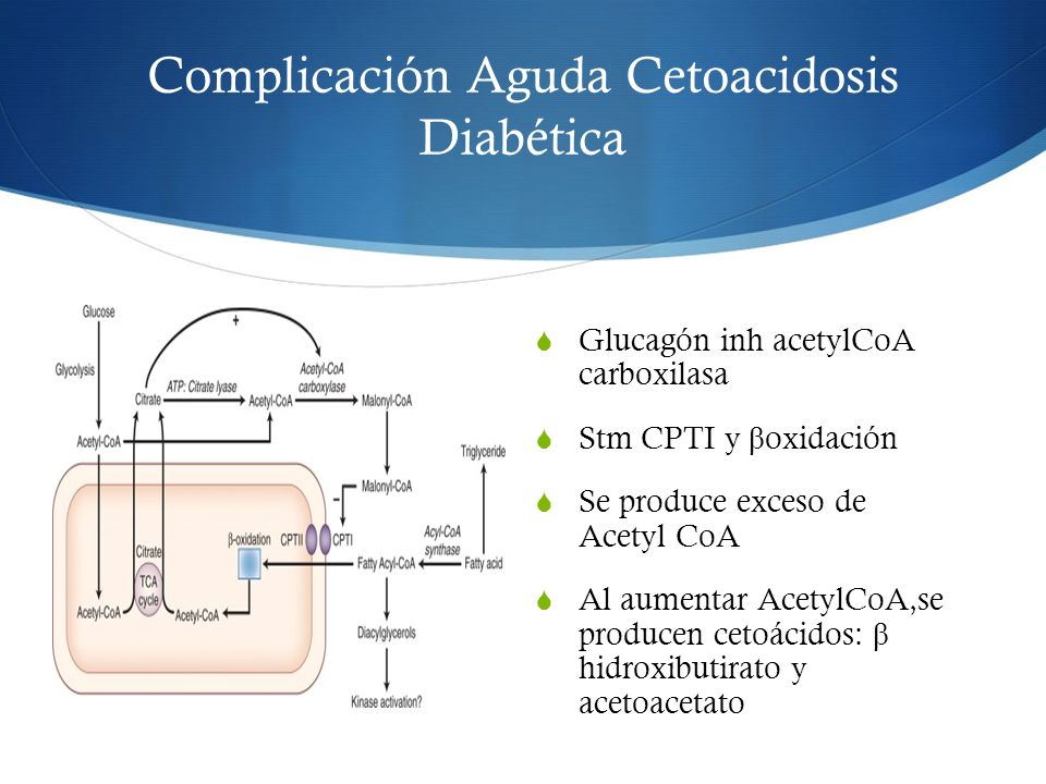 Diabetes Mellitus tipo 1 - ppt descargar Diabetes Mellitus tipo 1 - ppt descargar