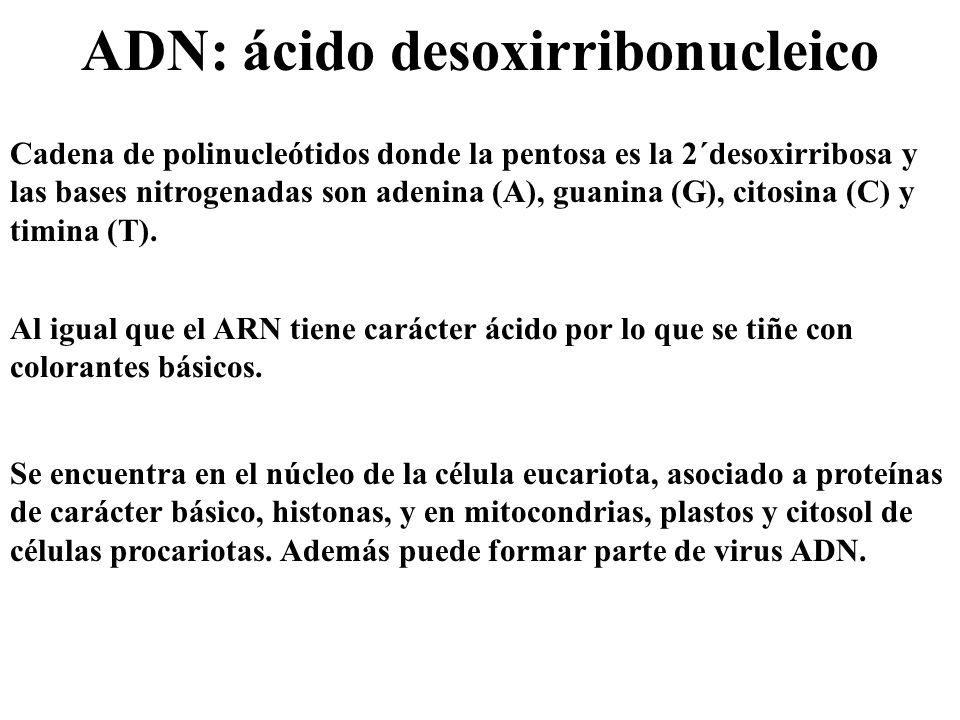 Tema IV: ÁCIDOS NUCLEICOS - ppt descargar Tema IV: ÁCIDOS NUCLEICOS - ppt descargar