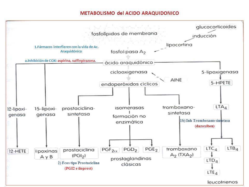 DROGAS ANTI-ANGINOSAS - ppt video online descargar DROGAS ANTI-ANGINOSAS - ppt video online descargar