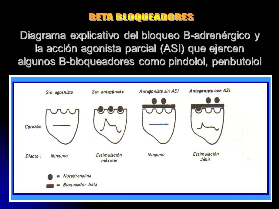 Discussion on this topic: Penbutolol, penbutolol/ Discussion on this topic: Penbutolol, penbutolol/