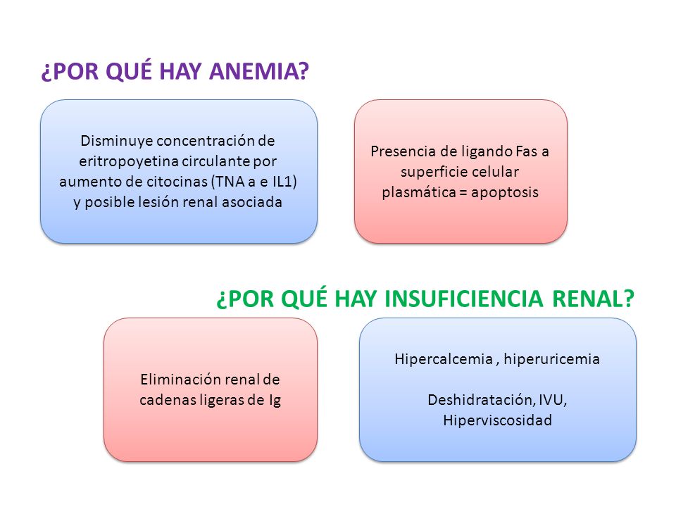 cadenas ligeras e insuficiencia renal hematolog 237 a dra nydia bail 243 n franco israel salgado adame cadenas ligeras e insuficiencia renal hematolog 237 a dra nydia bail 243 n franco israel salgado adame