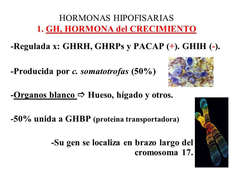 HORMONAS HIPOFISARIAS - ppt descargar HORMONAS HIPOFISARIAS - ppt descargar