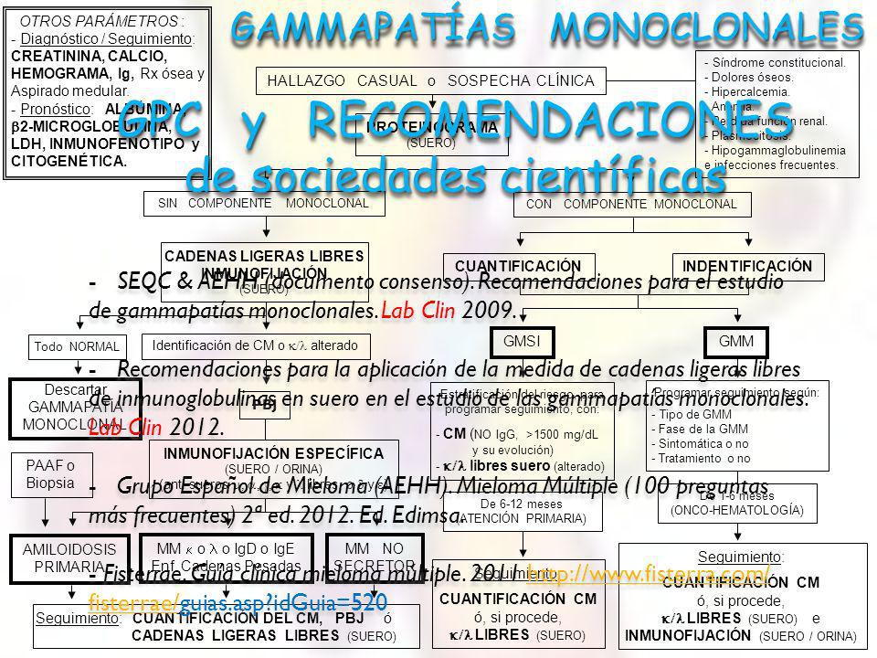 cadenas ligeras de inmunoglobulina en orina recomendaciones para el estudio de las gammapat 205 as cadenas ligeras de inmunoglobulina en orina recomendaciones para el estudio de las gammapat 205 as