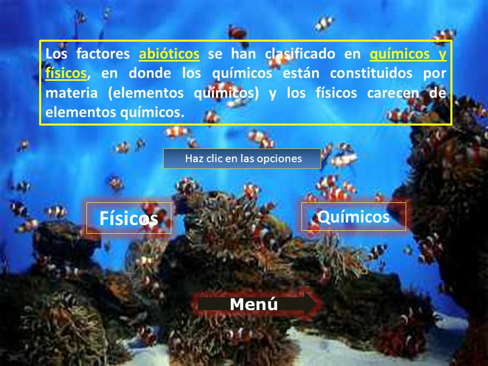 Donde estan las opciones binarias de