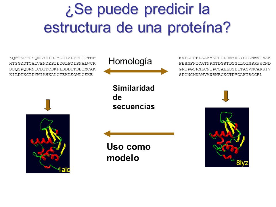Proteínas Estructura y función Estructura tridimencional Proteínas Estructura y función Estructura tridimencional