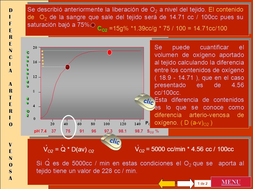 TRANSPORTE DE GASES. - ppt descargar TRANSPORTE DE GASES. - ppt descargar