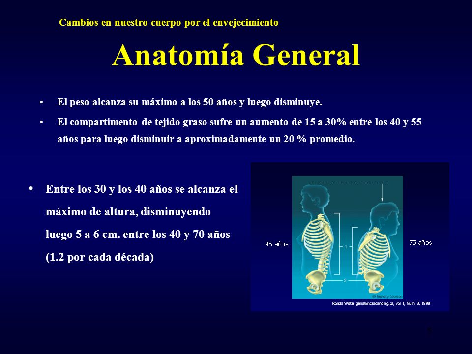 ¿ Como nos Preparamos para Envejecer Sanamente ? - ppt ¿ Como nos Preparamos para Envejecer Sanamente ? - ppt