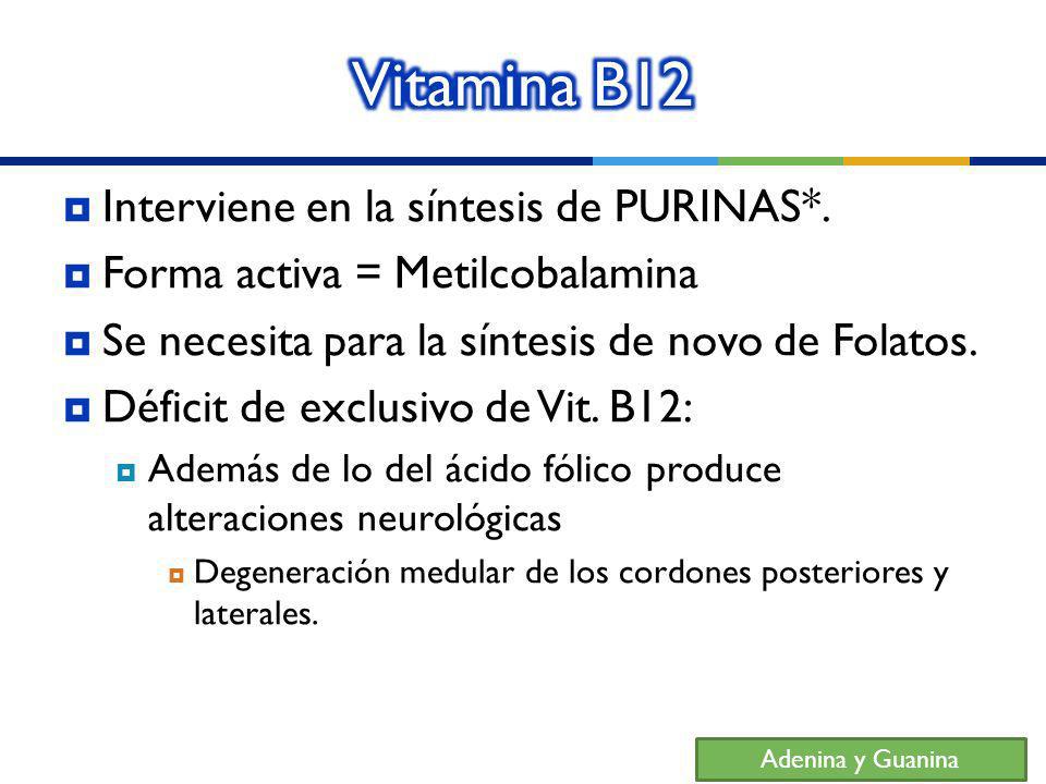 Preguntas y Respuestas sobre Ciencias Básicas - ppt descargar Preguntas y Respuestas sobre Ciencias Básicas - ppt descargar