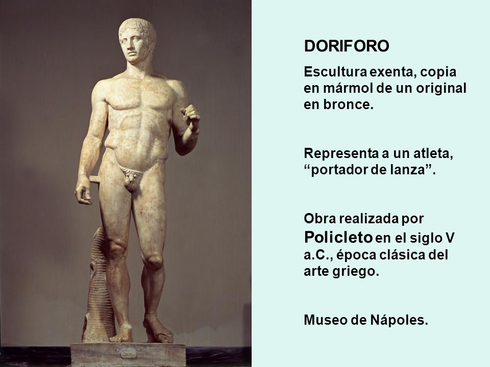 Resultado de imagen de DORIFORO