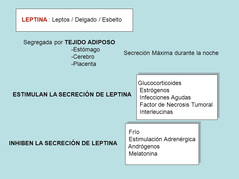 XI CURSO DE INVIERNO DE LA UCA - ppt descargar XI CURSO DE INVIERNO DE LA UCA - ppt descargar