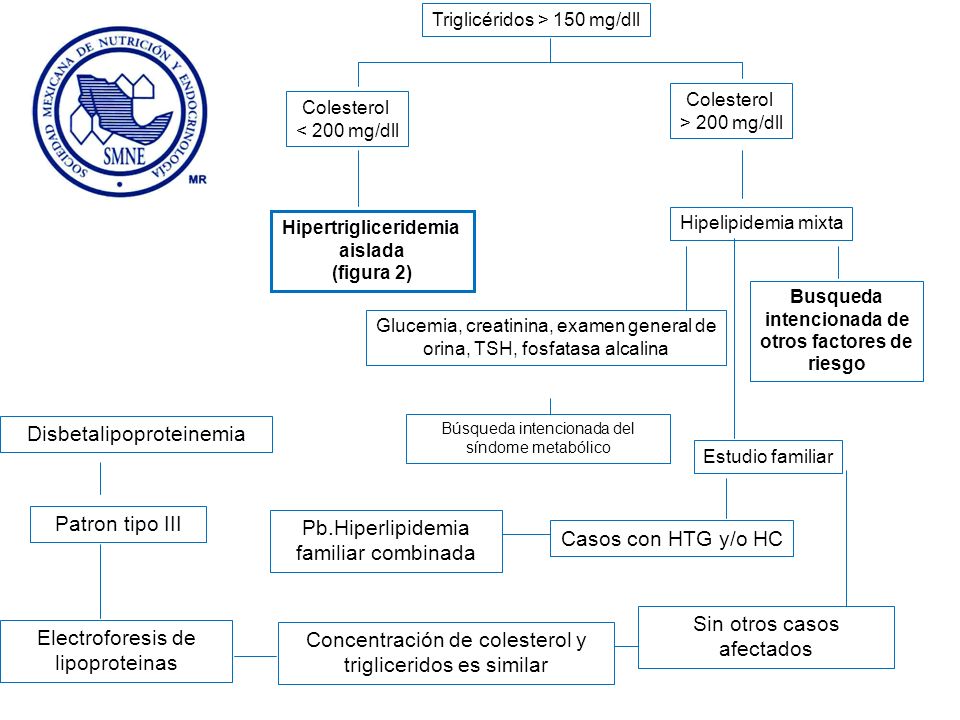 Abordaje diagnóstico de las dislipidemias - ppt video Abordaje diagnóstico de las dislipidemias - ppt video