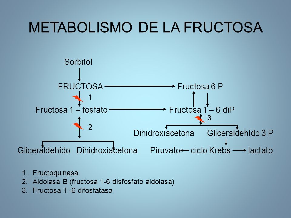 DIGESTIÓN DE LOS H. DE C. DIETA: POLISACÁRIDOS. - ppt DIGESTIÓN DE LOS H. DE C. DIETA: POLISACÁRIDOS. - ppt