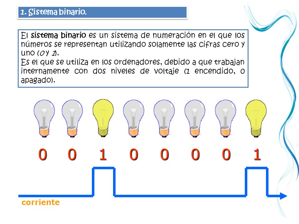 Plantilla opciones binarias
