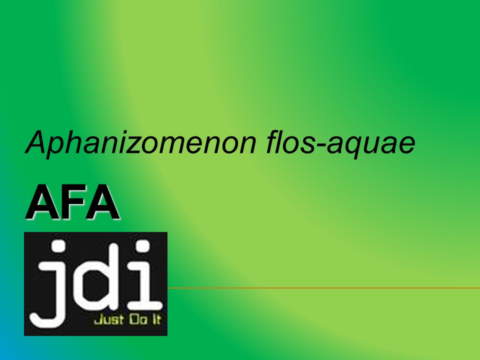 Bienvenidos Presentación de Negocio - ppt descargar Bienvenidos Presentación de Negocio - ppt descargar