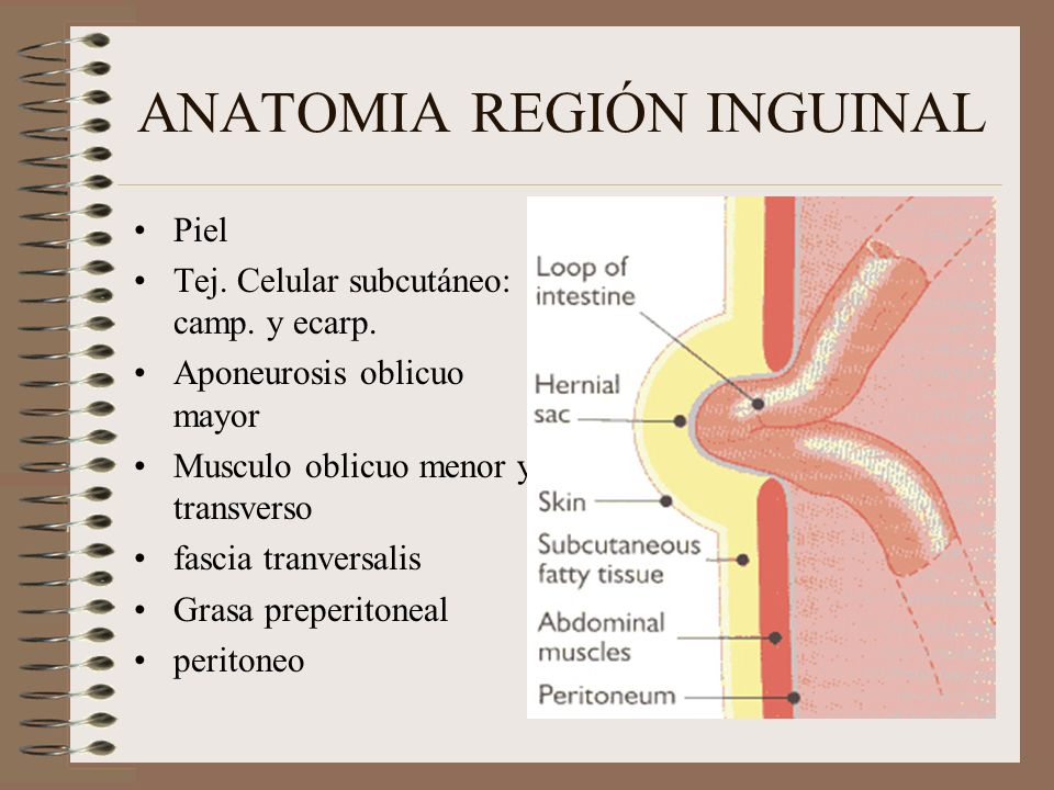 HERNIA INGUINAL Dr.Alejandro Pasco Peña Universidad Libre HERNIA INGUINAL Dr.Alejandro Pasco Peña Universidad Libre