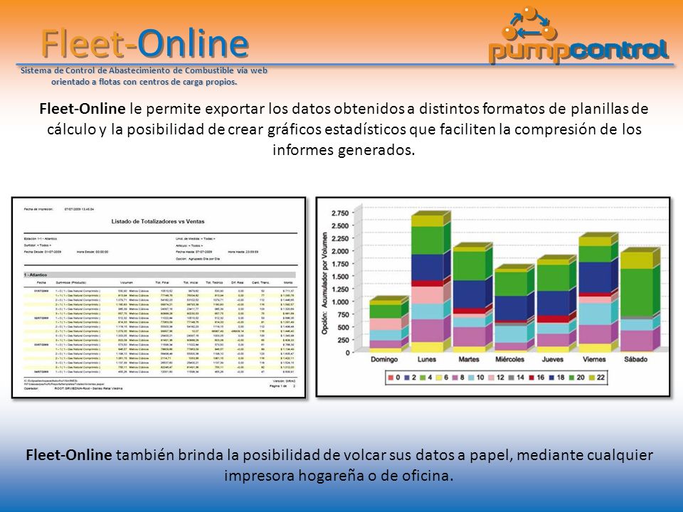 formato control de combustible