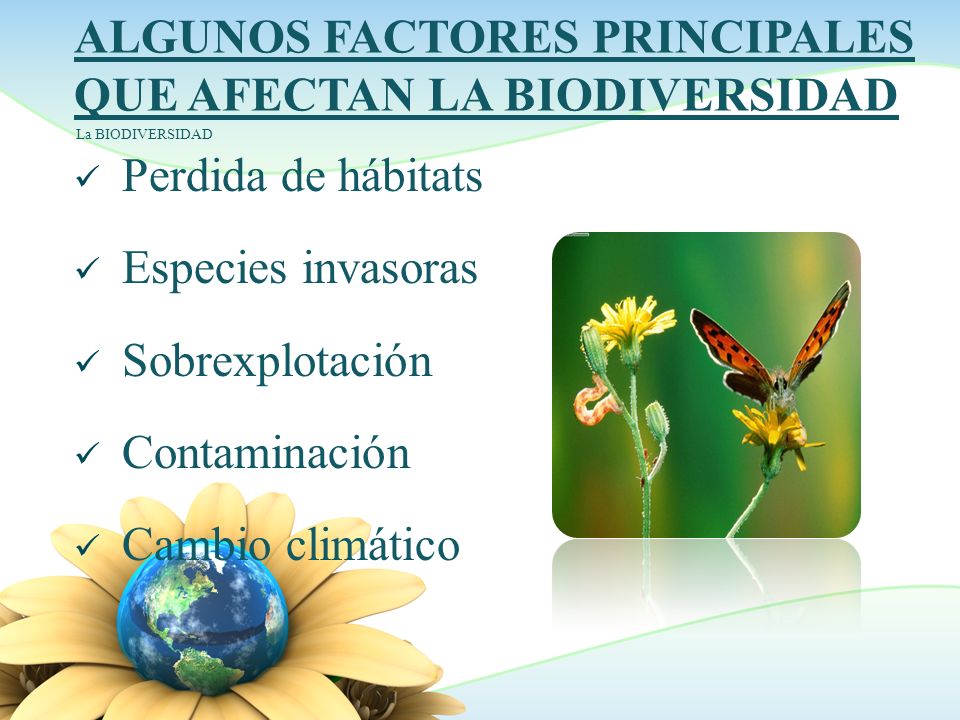Resultado de imagen para ASPECTOS QUE INFLUYEN LA BIODIVERSIDAD´