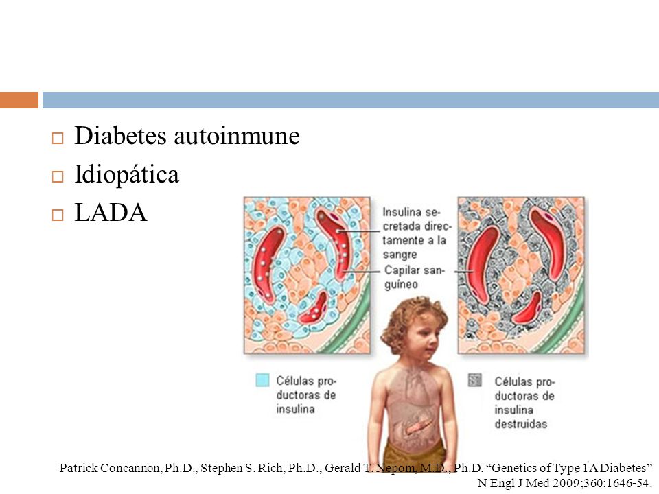 Coordinador: Dr Federico Rodríguez Weber - ppt descargar Coordinador: Dr Federico Rodríguez Weber - ppt descargar