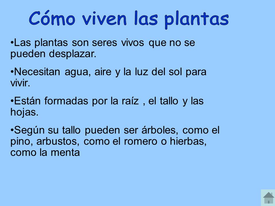 Vigorsol Easy