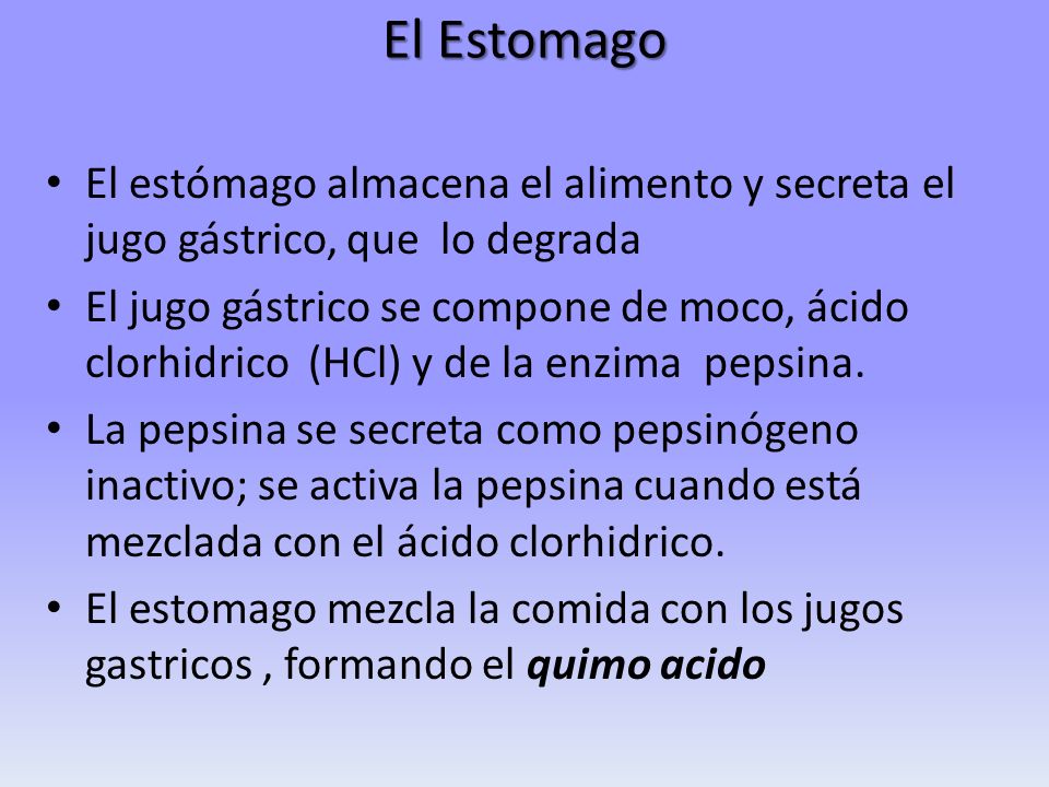 Ambiente Externo CO2 Alimento O2 Boca Cuerpo Animal Ambiente Externo CO2 Alimento O2 Boca Cuerpo Animal