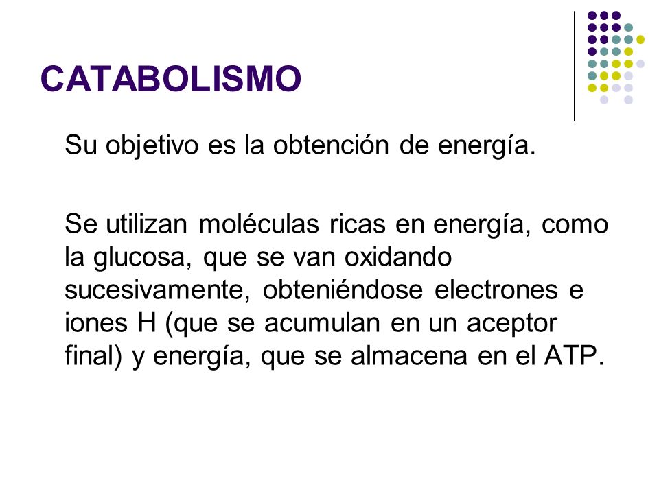 FUNCIONES DE NUTRICIÓN - ppt descargar FUNCIONES DE NUTRICIÓN - ppt descargar