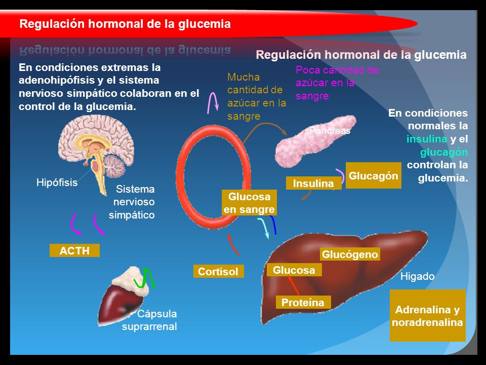 Coordinación y locomoción IES Bañaderos Tema ppt descargar Coordinación y locomoción IES Bañaderos Tema ppt descargar