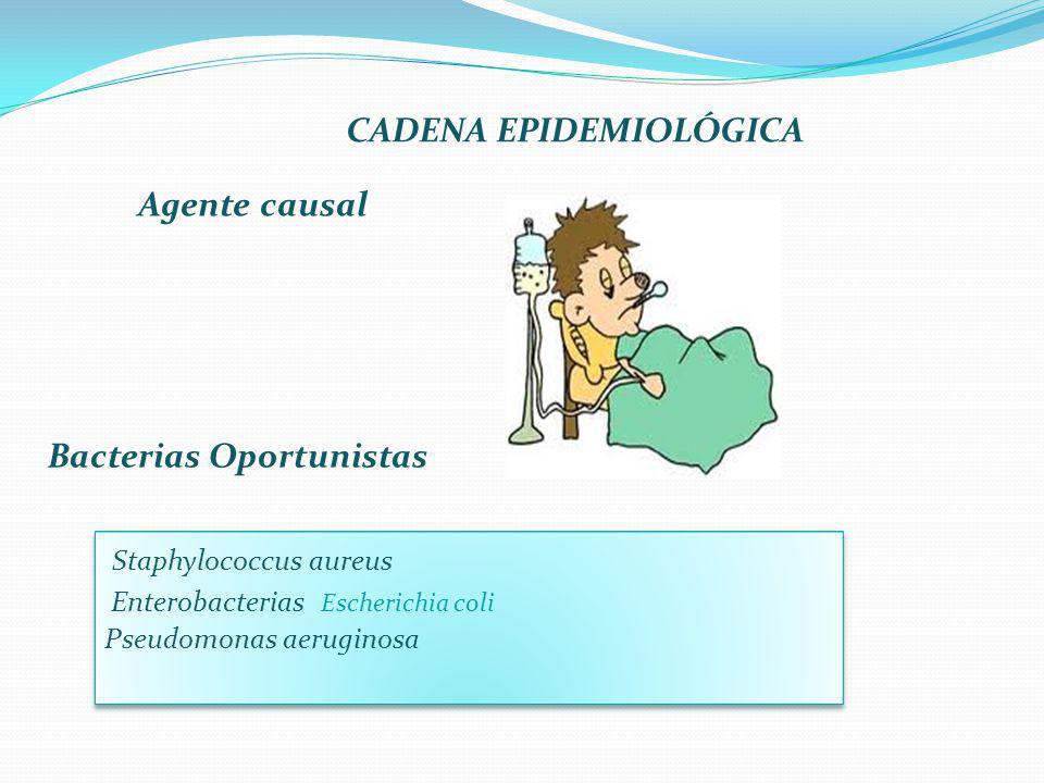 cadena epidemiologica bacteriana dra luisa j morantes c noviembre ppt descargar cadena epidemiologica bacteriana dra luisa j morantes c noviembre ppt descargar