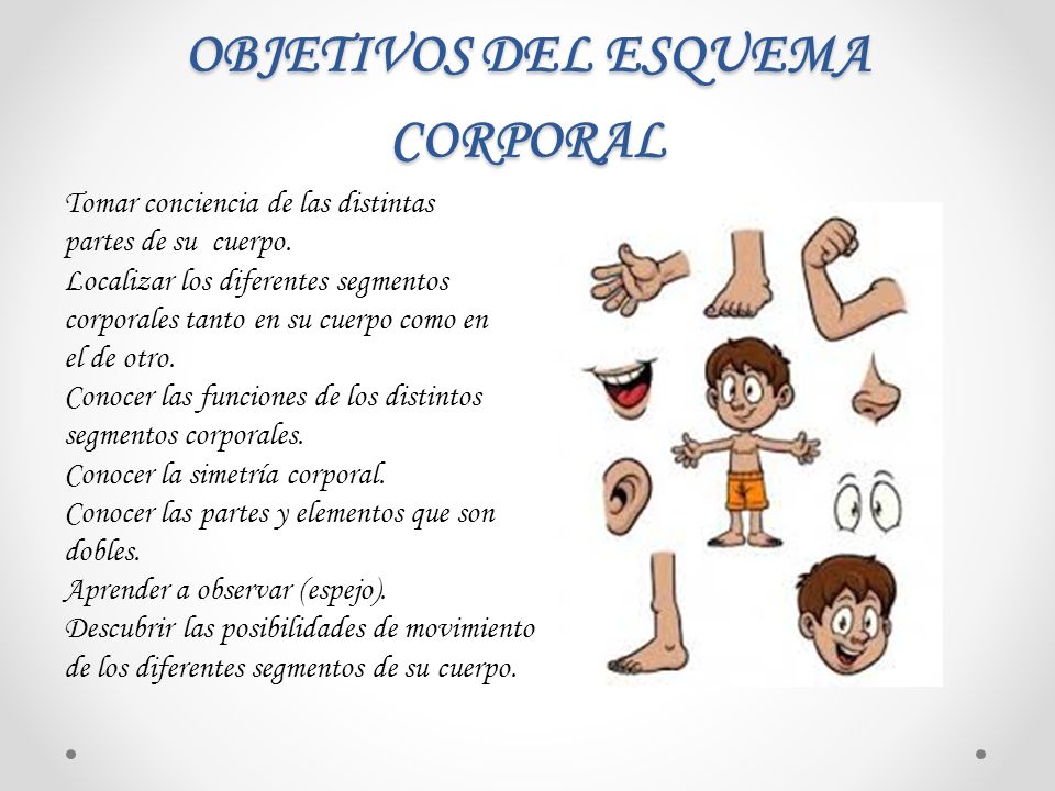 Esquema corporal - Wikipedia, la enciclopedia libre