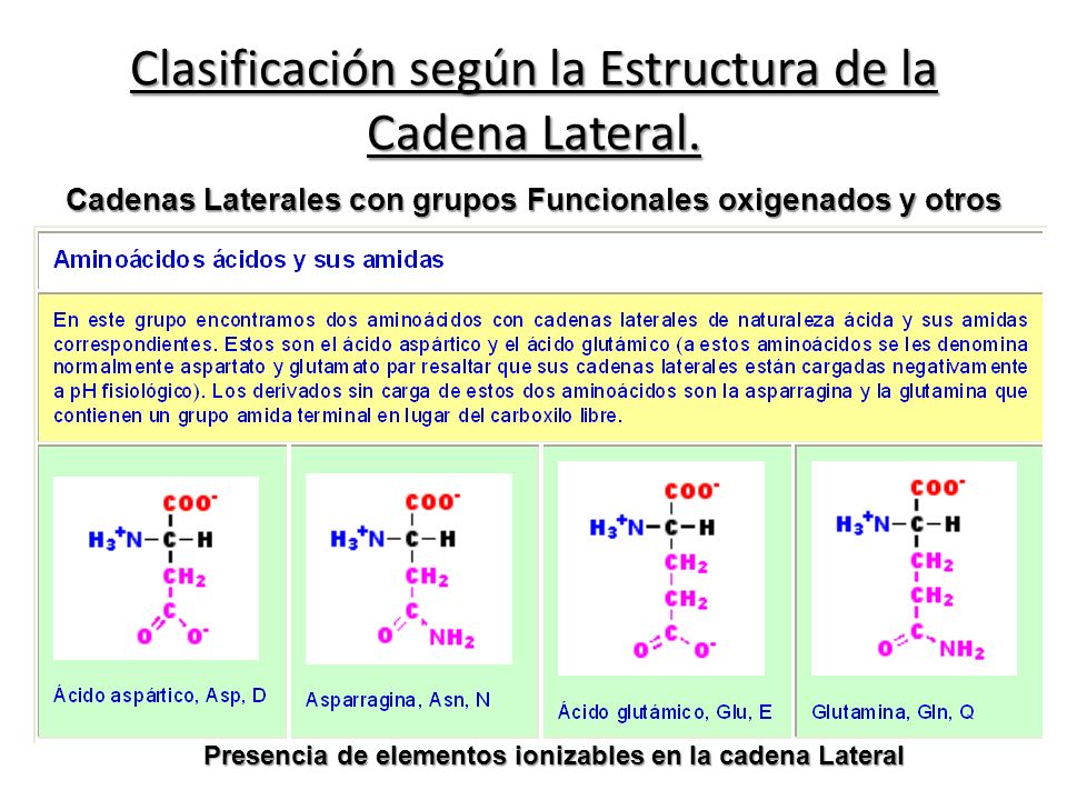 clasificacion de los aminoacidos segun sus cadenas laterales qu 205 mica org 193 nica dra yelitza garc 205 a ppt descargar clasificacion de los aminoacidos segun sus cadenas laterales qu 205 mica org 193 nica dra yelitza garc 205 a ppt descargar