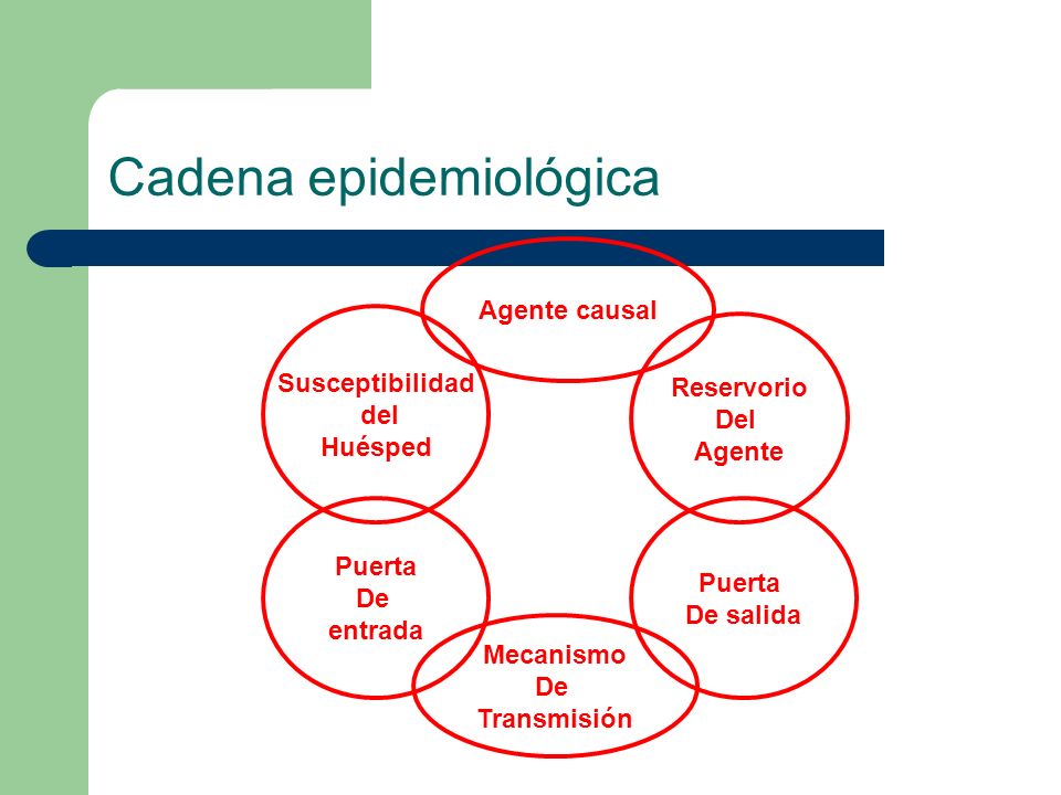 cadena epidemiologica reservorio proceso salud enfermedad factores determinantes ppt cadena epidemiologica reservorio proceso salud enfermedad factores determinantes ppt