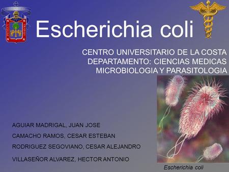 Escherichia coli CENTRO UNIVERSITARIO DE LA COSTA