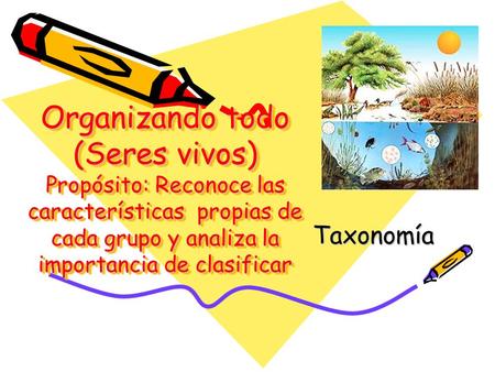 Organizando todo (Seres vivos) Propósito: Reconoce las características propias de cada grupo y analiza la importancia de clasificar Taxonomía.