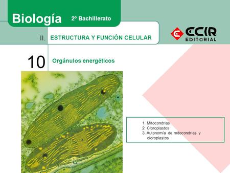 10 Biología II. 2º Bachillerato ESTRUCTURA Y FUNCIÓN CELULAR