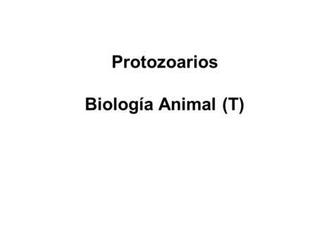 Protozoarios Biología Animal (T).