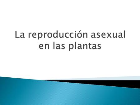 La reproducción asexual en las plantas