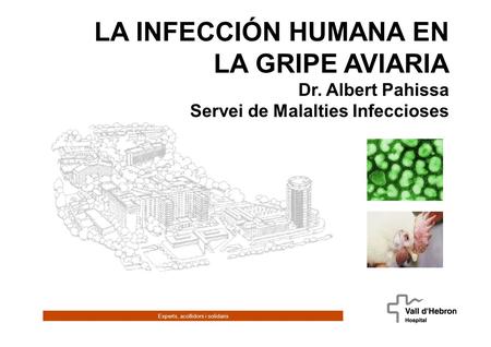 Experts, acollidors i solidaris LA INFECCIÓN HUMANA EN LA GRIPE AVIARIA Dr. Albert Pahissa Servei de Malalties Infeccioses.