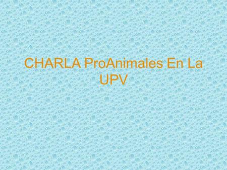CHARLA ProAnimales En La UPV. Presentación Mi Nombre: Agradecimientos… Objetivo de esta charla: “dar a conocer lo más básico a tener en cuenta sobre un.