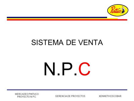 N.P.C SISTEMA DE VENTA MERCADEO PINTUCO PROYECTO N.P.C.