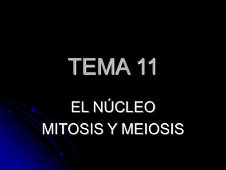 TEMA 11 EL NÚCLEO MITOSIS Y MEIOSIS.