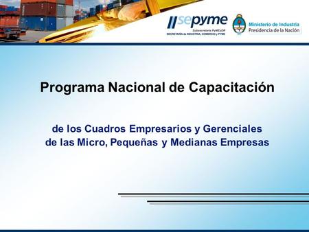 Programa Nacional de Capacitación de los Cuadros Empresarios y Gerenciales de las Micro, Pequeñas y Medianas Empresas.
