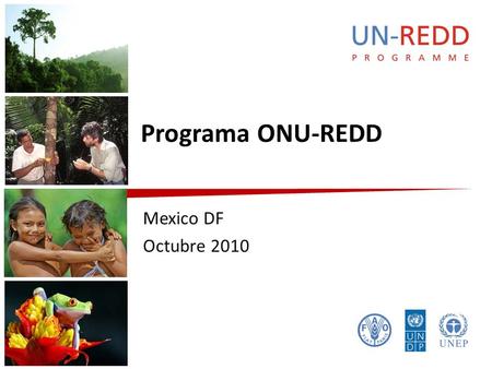 Programa ONU-REDD Mexico DF Octubre 2010. REDD(+)