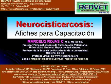 Neurocisticercosis: Afiches para Capacitación
